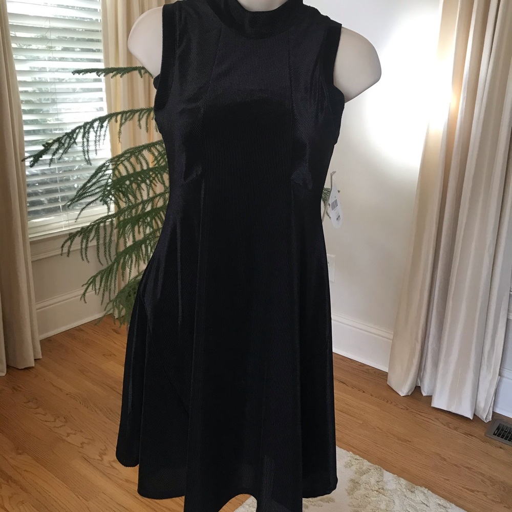 NWT alterd state dress